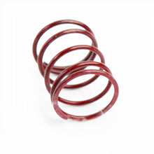 Load image into Gallery viewer, CTS TURBO Replacement Spring for DV/BOV kits