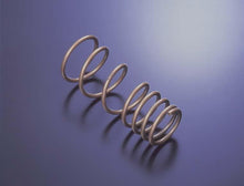 Load image into Gallery viewer, Tein 98-02 Accord 6cyl H Tech Springs