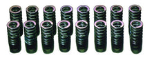 Load image into Gallery viewer, HKS 91-00 Infiniti G20 SR20DET Outer Valve Spring Set