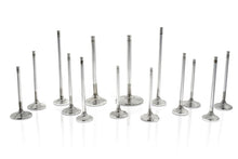 Load image into Gallery viewer, Ferrea Honda F20C 31mm 5.46mm 109mm 22 Deg Flo Stock Competition Plus Exhaust Valve - Set of 8