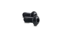 Load image into Gallery viewer, Vibrant 3/8-16 x 3/4in Screws for Oil Flanges (Pack of 2)